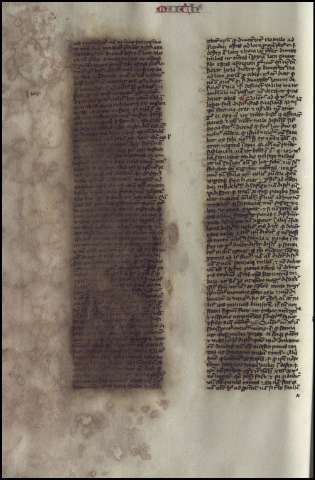 494