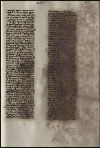 497