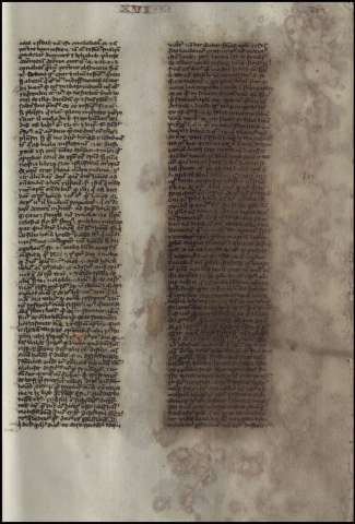 521