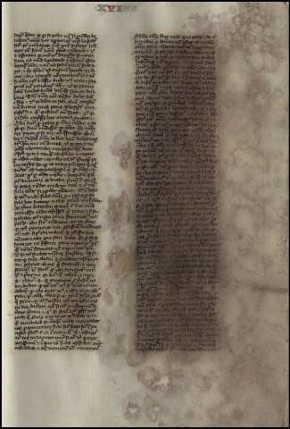 529