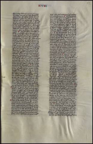 101