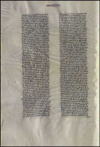 126