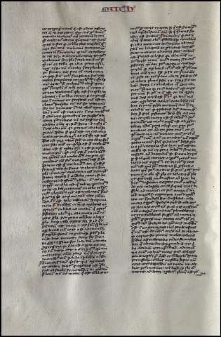 146
