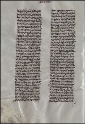 80