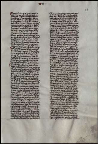 81