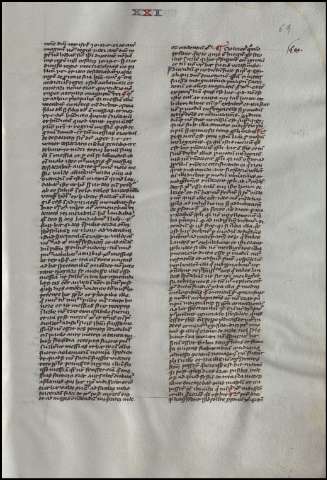 141