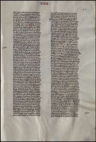 151