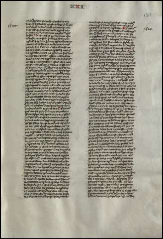 251