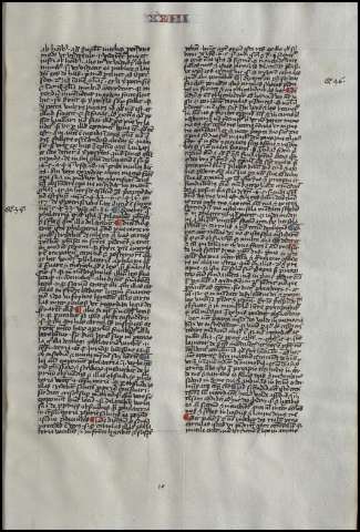 25