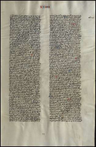 151