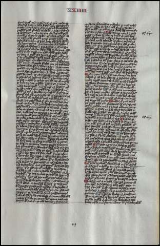 231