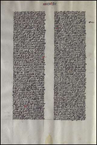 256