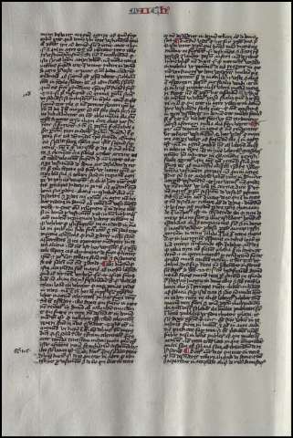 262