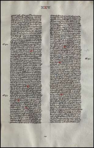 43