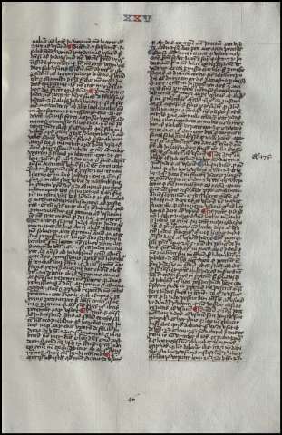 95