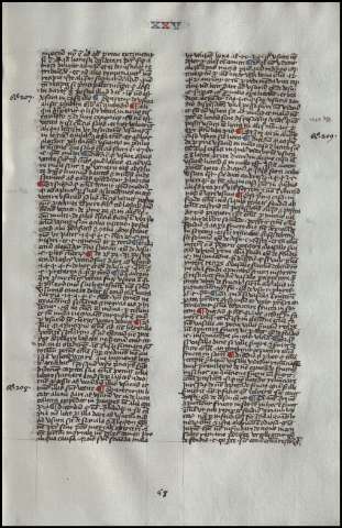 119