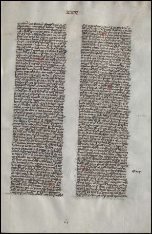 127