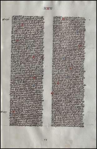 131