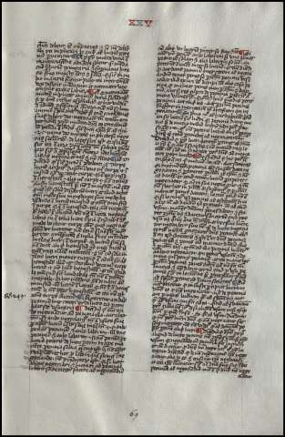 141