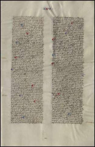 255