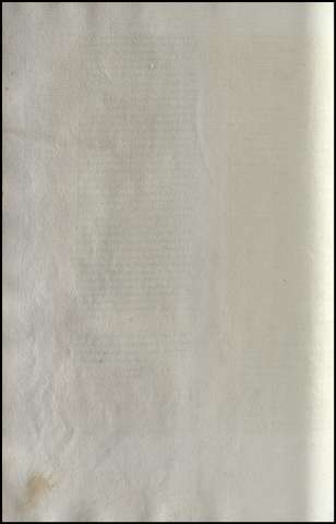 364