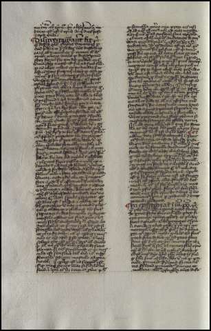 586