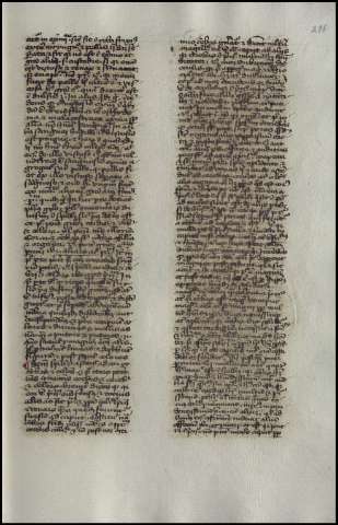 591