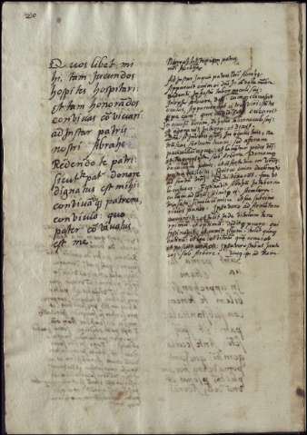 26