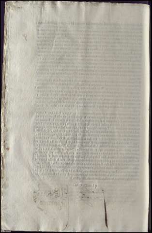 1036