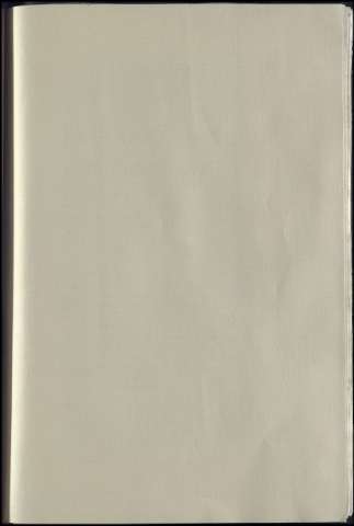 81