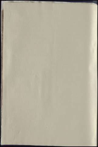 382