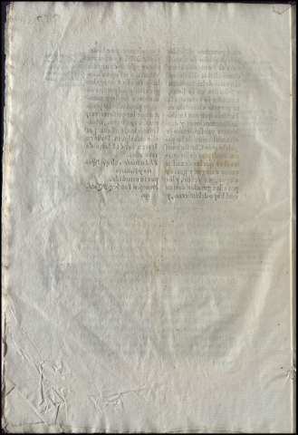 264