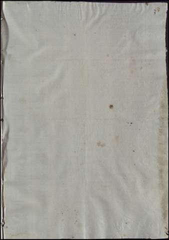 81