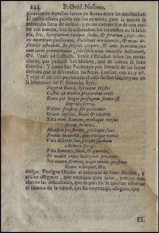 250