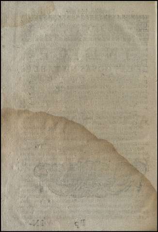 304