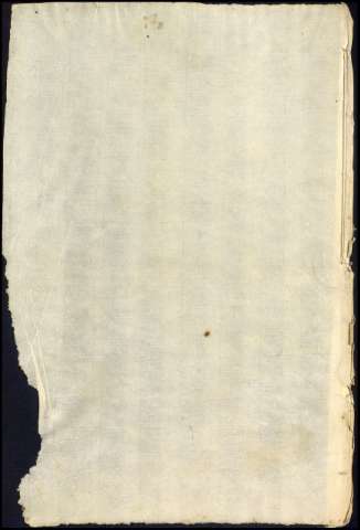 64