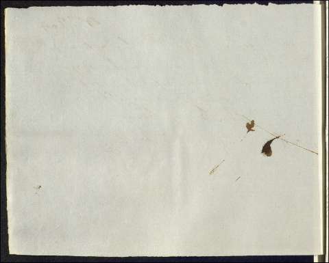 982