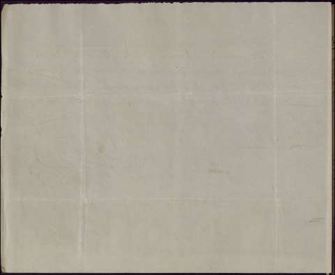 291