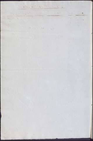 1081