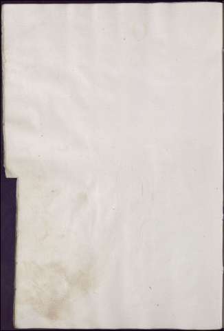 239
