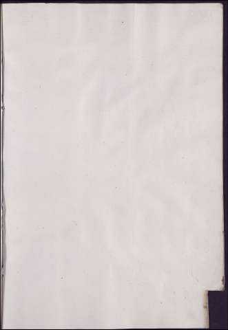354