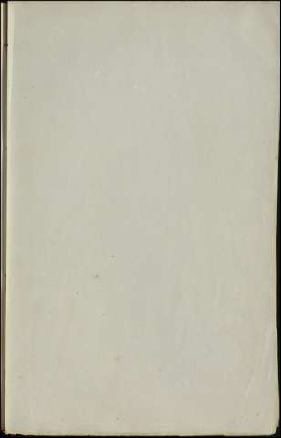 81