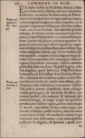 162