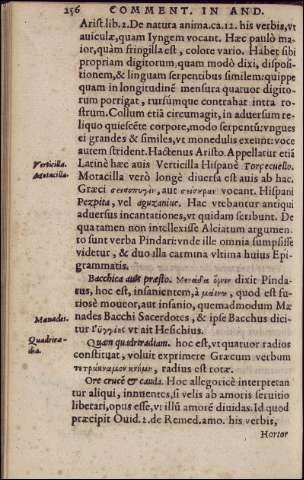 262