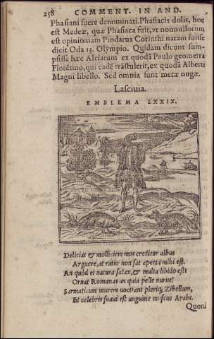 264