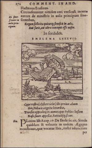 278
