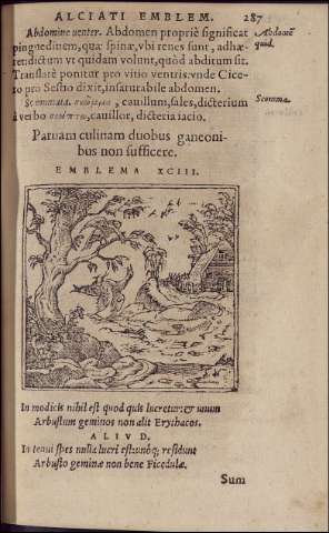 293