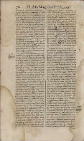 146