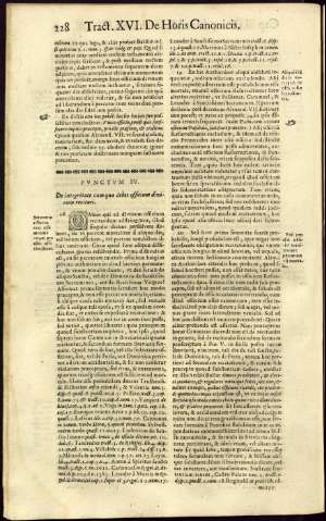 256