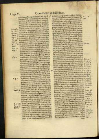 246